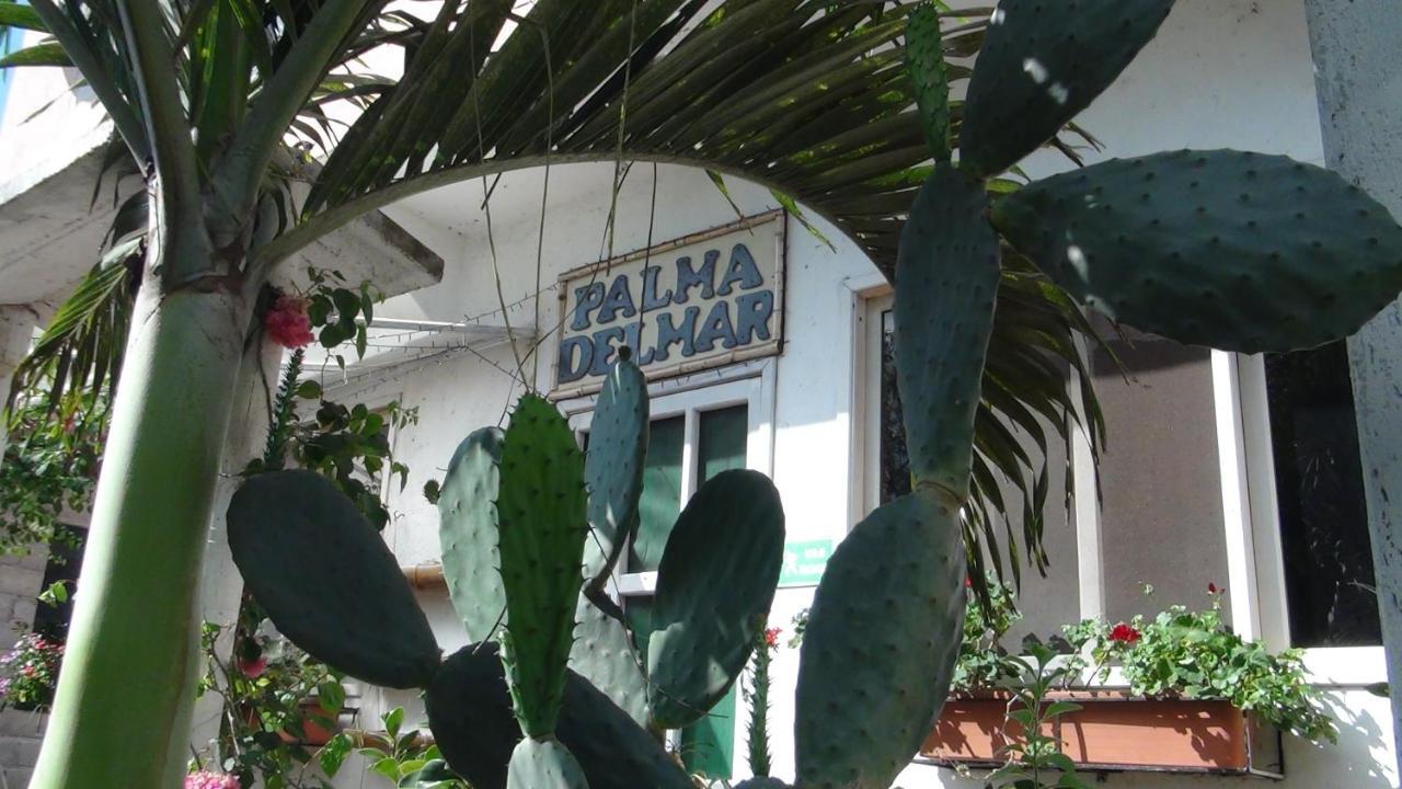 푸에르토 바케리조 모레노 Palma Del Mar 2 빌라 외부 사진